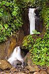 Dominica, Roseau. Waterfall at Papillote Wilderness Retreat.