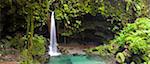 Dominica, Castle Bruce. Emerald Pool, one of the most popular tourist attractions of Dominica.