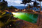 Dominica, Delices. The swimming pool at Jungle Bay Resort and Spa. (PR).