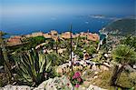 Jardin Exotique in Eze, Cote d'Azur, Alpes-Maritimes, Provence-Alpes-Cote d'Azur, France