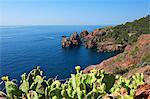 Le Dramount, Corniche de l'Esterel, Cote d'Azur, Provence-Alpes-Cote d'Azur, France