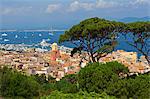 Saint Tropez, Var, Cote d'Azur, Provence-Alpes-Cote d'Azur, France