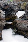 Iceland, Barnafoss waterfall