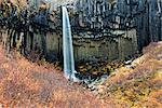 Europe, Iceland, Skaftafell National Park, Svartifoss waterfall