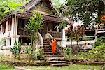 Laos, Luang Prabang. Monk at Wat Long Khun.