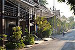 Laos, Luang Prabang. Early morning light glinting on the telephone wires.