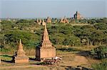 Myanmar, Burma, Mandalay Region, Bagan. Often used by tourists to visit Bagan's pagoda-dotted plain, a pony and trap moves through the site near the Irrawaddy River.