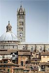 Tower and dome of Santa Maria Assunta, Siena, Italy