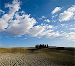 Ploughed fields with cypress trees, Tuscany, Italy