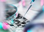 DNA sample being pipetted into petri dish with DNA gel in background