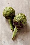 Two artichokes, still life