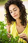 Young woman looking at basil leaves, oudoors