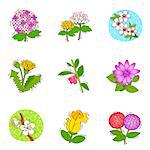 Set of various flower icons
