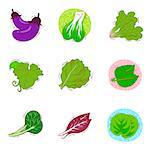 Set of various vegetable related icons