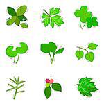 Set of various leaf icons