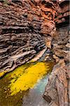 Joffre Gorge, Karijini National Park, The Pilbara, Western Australia, Australia