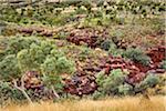 Oxer Lookout, Karijini National Park, The Pilbara, Western Australia, Australia