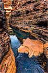 Spider Walk, Hancock Gorge, Karijini National Park, The Pilbara, Western Australia, Australia