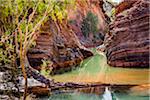 Hamersley Gorge, The Pilbara, Western Australia, Australia