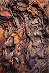 Close-Up of Slate Rock, Hamersley Gorge, The Pilbara, Western Australia, Australia