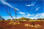 Mount Bruce, The Pilbara, Western Australia, Australia