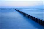 Groyne before sunrise, Zingst, Darss, Fischland-Darss, Baltic sea, Mecklenburg-Western Pomerania, Germany, Europe