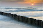 Groyne at Sunrise, Zingst, Darss, Fischland-Darss, Baltic sea, Mecklenburg-Western Pomerania, Germany, Europe