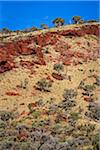 Karijini National Park, The Pilbara, Western Australia, Australia