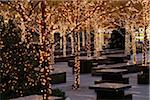 Trees Decorated with Lights in Park at Night, Manhattan, New York City, New York State, USA