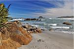 Beach with Stones, Cape Foulwind, Westport, South Island, West Coast-Tasman, New Zealand