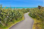 Footpath in Summer, Pancake Rocks, West Coast, South Island, New Zealand