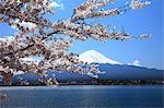 Mount Fuji and Lake Kawaguchi, Yamanashi Prefecture