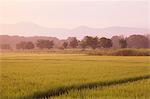 Countryside at summer, Yamanashi Prefecture