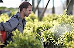 Young man spraying pesticide in plant nursery