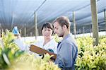 Scientist and worker in plant nursery