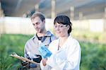 Scientist and worker in plant nursery, looking at bottles