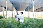 Worker and scientist with laptop in plant nursery