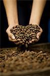 Cupped hands with handful of cocoa beans