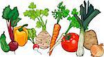 Cartoon Illustration of Vegetables Food Object Big Group