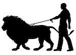 Editable vector silhouette of a man walking a lion on a leash