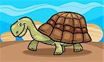 Illustration of funny cartoon turtle reptile animal