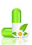 Herbal pill icon.Environment background vector illustration