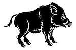 An illustration of a stylised boar perhaps a boar tattoo