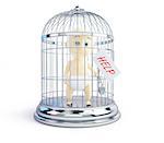 baby request for assistance in a bird cage 3d Illustrations on a white background