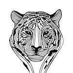 Tiger head vector animal illustration for t-shirt. Sketch tattoo design.