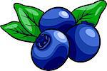 Cartoon Illustration of Blueberry Fruits Food Object