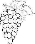 Black and White Cartoon Illustration of Bunch of Grapes or Grapevine Fruit Food Object for Coloring Book