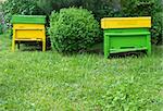 Yellow beehives located on the green lawn