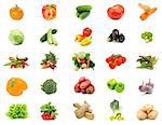 Collection of Raw Vegetables with Cabbage, Potato, Leek, Peppers, Garlic, Ginger, Lettuce, Cucumber, Tomato, Carrot, Pumpkin, Zucchini, Squash, Eggplant, Broccoli and Radishes isolated on white background