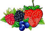 Cartoon Illustration of Four Berry Fruits like Blueberry and Blackberry and Raspberry and Strawberry Food Design